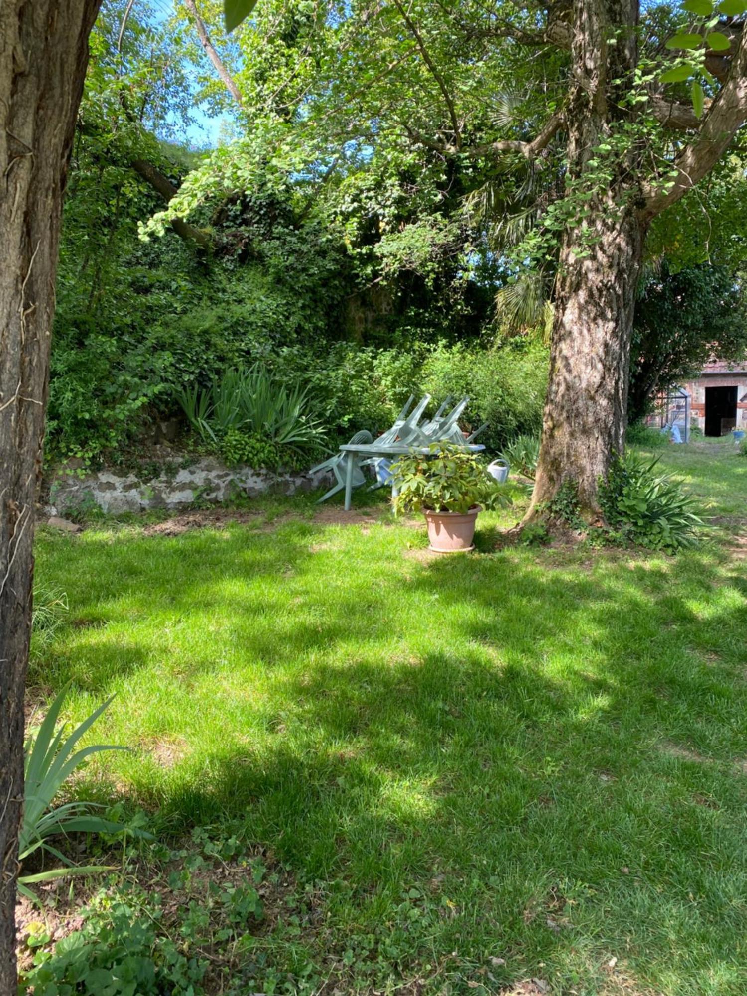 Bed and Breakfast Les Agapanthes Vaux-en-Beaujolais Exterior foto